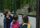Gepard