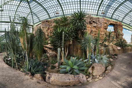 Wustenhaus Tiergarten Schonbrunn