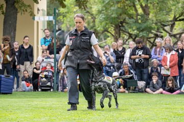 Foto für: Artenschutztage 2024