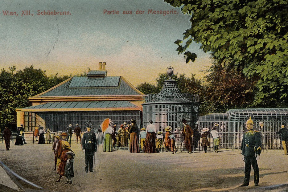 Geschichte Tiergarten Schonbrunn