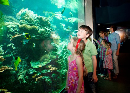 Aquarien Und Terrarienhaus Tiergarten Schonbrunn