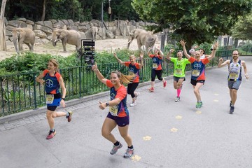 Foto für: 10. Wiener Zoolauf