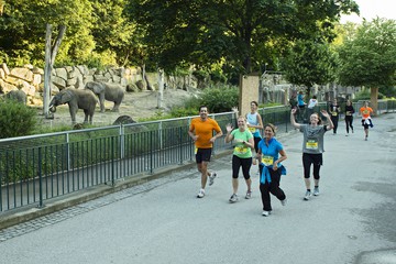 Foto für: 1. Wiener Zoolauf
