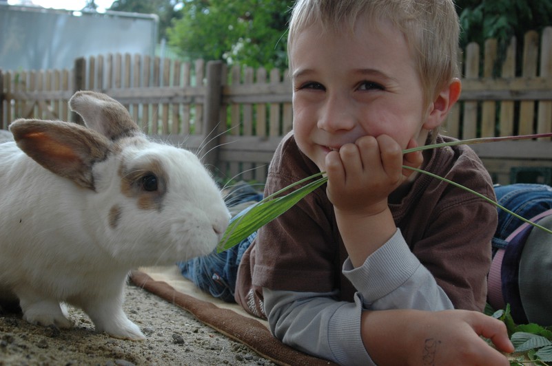 Kaninchen kennenlernen