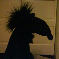 Userfoto von 