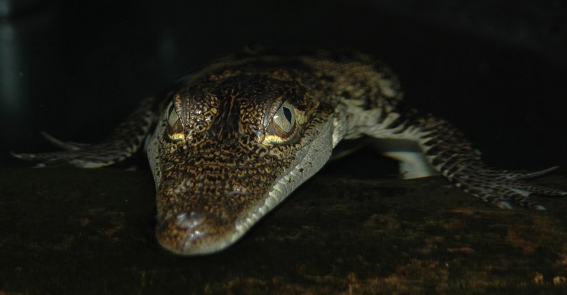 Foto Karin R. , 27. Oktober 2011