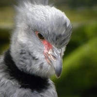 Userfoto von 