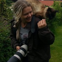 Userfoto von 