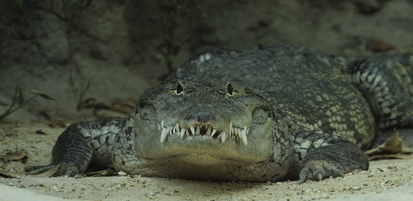 Foto Andrea Haberfehlner , 13. Juni 2010