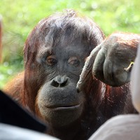 Userfoto von 