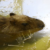 Userfoto von 
