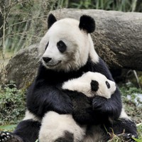 Userfoto von 
