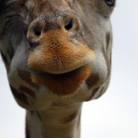Userfoto von 