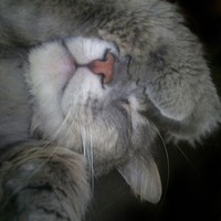 Userfoto von 