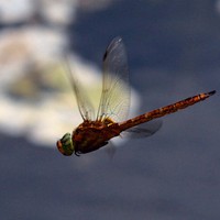 Userfoto von 