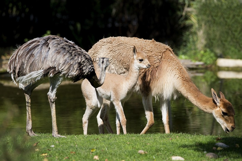 Foto Franz Wunsch , 18. September 2014