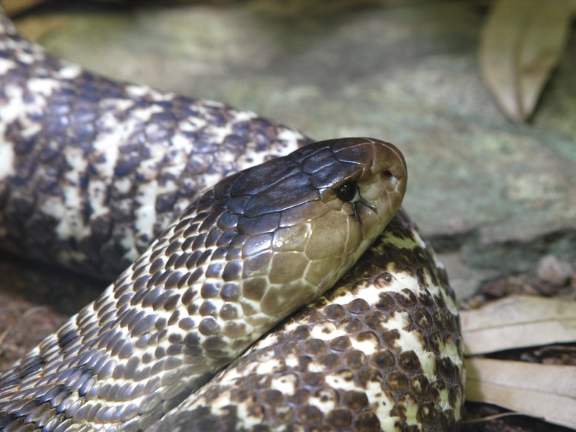 Foto Harald Vacha , 5. Juni 2010