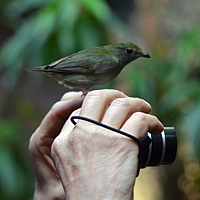 Foto Ingrid Dundler