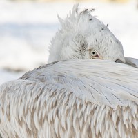 Userfoto von 