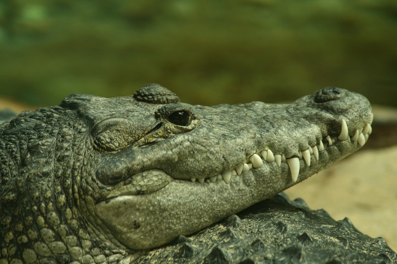 Foto DI Jürgen Hummer , 14. August 2010