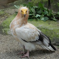 Userfoto von 