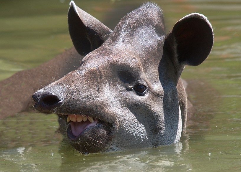 Foto Jutta Kirchner , 12. Juli 2012