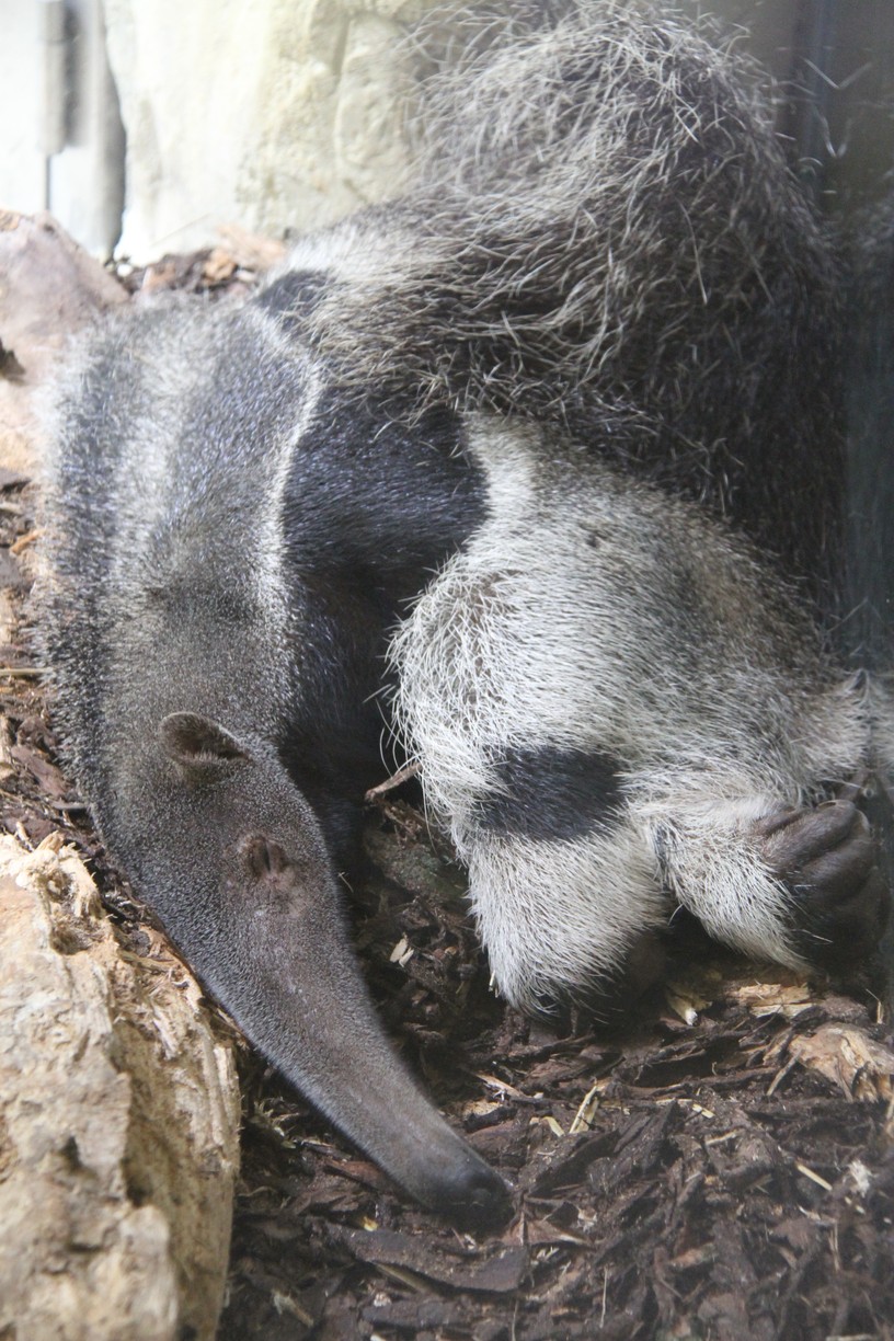 Foto Kerstin Kukacka , 14. Juni 2010