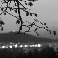 Userfoto von 