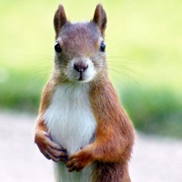 Userfoto von 