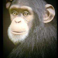 Userfoto von 