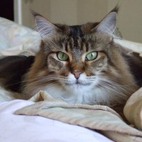 Userfoto von 