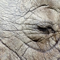 Userfoto von 