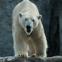 Userfoto von 