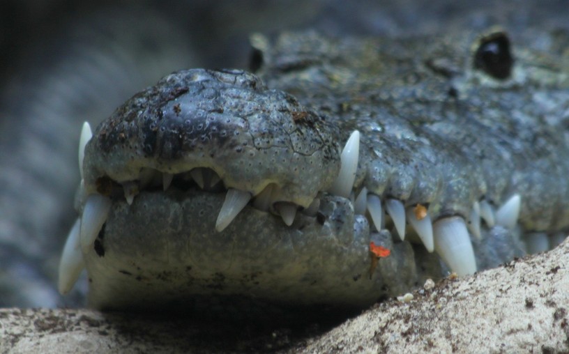 Foto Rainer Leiss , 21. Juni 2010