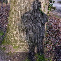 Userfoto von 