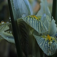 Userfoto von 