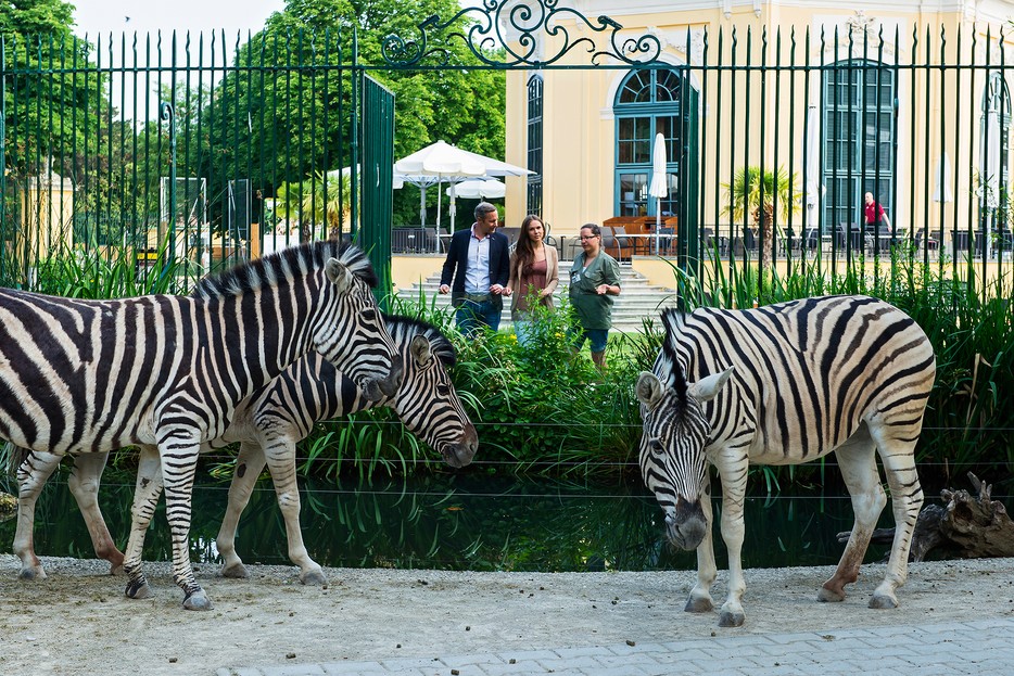 vienna zoo tour