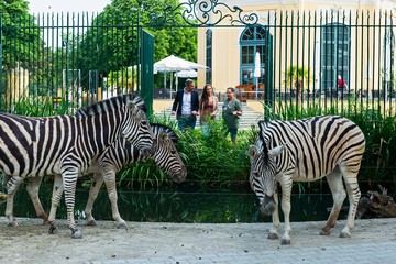 Foto für: Erlebnis Zoo für alle