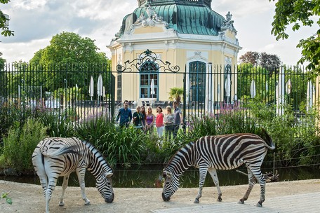 Dierentuin Europa; De leukste, beste en mooiste - Reisliefde Dierentuin Europa; De leukste, beste en mooiste - Reisliefde