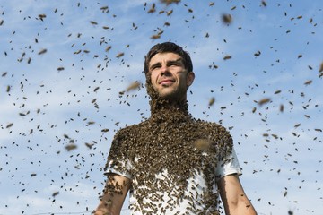 Foto für: Die Welt der Honigbienen